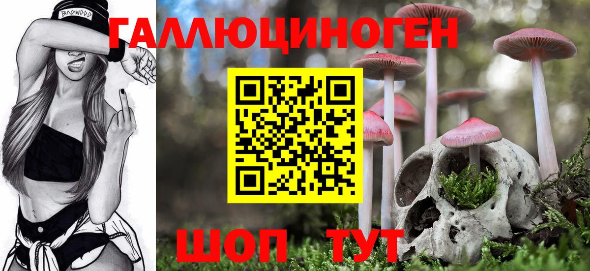 Псилоцибиновые грибы мухоморы Рязань