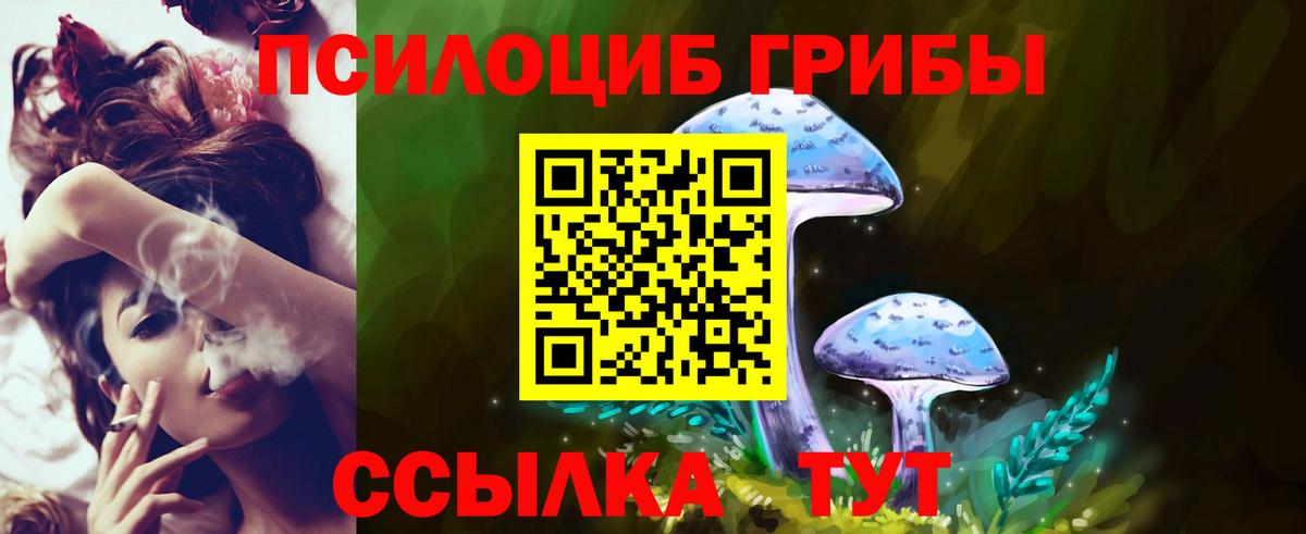 Галлюциногенные грибы мухоморы  Галлюциногенные грибы прущие грибы  Вход с VPN  Рязань 